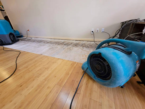 Professional Basement Flood Cleanup technician working in Hillside, CO